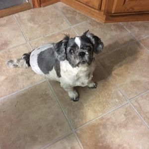 Meet your Posher, Julie